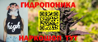 крисы Абинск