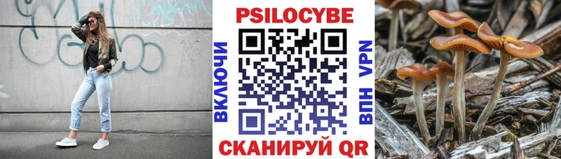 Галлюциногенные грибы Psilocybe  блэк спрут онион  Ангарск 