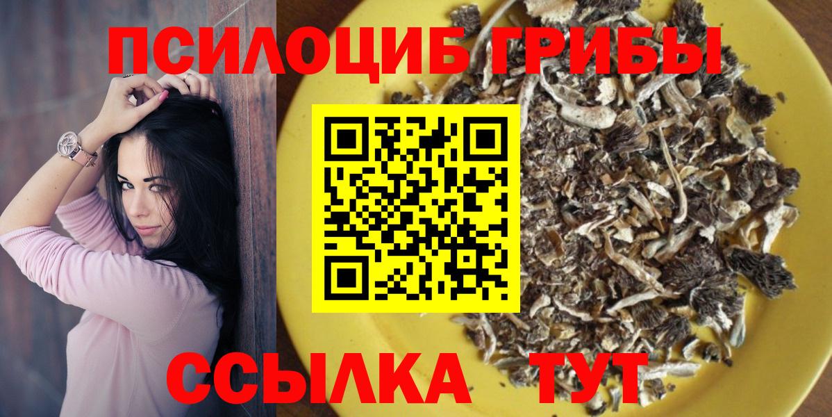 Ангарск  закладки  Псилоцибиновые грибы Psilocybe  Вход с VPN  Галлюциногенные грибы Psilocybe 